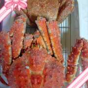 ヒメ日記 2026/03/04 07:28 投稿 宮西ちさ(みやにしちさ) 五十路マダムエクスプレス厚木店(カサブランカグループ)