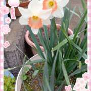 ヒメ日記 2026/03/19 21:28 投稿 宮西ちさ(みやにしちさ) 五十路マダムエクスプレス厚木店(カサブランカグループ)