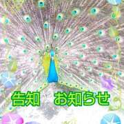 ヒメ日記 2026/07/03 07:02 投稿 宮西ちさ(みやにしちさ) 五十路マダムエクスプレス厚木店(カサブランカグループ)