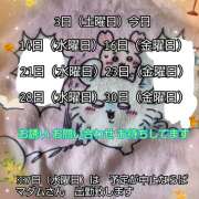 ヒメ日記 2026/10/03 08:24 投稿 宮西ちさ(みやにしちさ) 五十路マダムエクスプレス厚木店(カサブランカグループ)