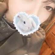 ヒメ日記 2025/10/08 13:00 投稿 しま【色白美肌の純情きらり】 STELLA TOKYO－ステラトウキョウ－