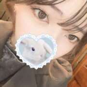 ヒメ日記 2025/11/25 16:20 投稿 しま【色白美肌の純情きらり】 STELLA TOKYO－ステラトウキョウ－