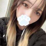 しま【色白美肌の純情きらり】 出勤しました〜‪🫶🏻︎ STELLA TOKYO－ステラトウキョウ－