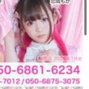 ヒメ日記 2026/02/03 13:00 投稿 恋城もか ニューハーフヘルスLIBE 東京新宿