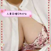 ヒメ日記 2025/03/13 07:53 投稿 わかな 沼津人妻花壇