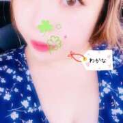 ヒメ日記 2025/08/03 08:54 投稿 わかな 沼津人妻花壇