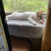 ヒメ日記 2025/09/09 07:13 投稿 わかな 沼津人妻花壇