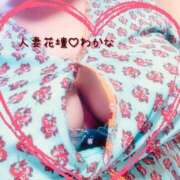 ヒメ日記 2025/09/14 07:37 投稿 わかな 沼津人妻花壇