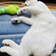 ヒメ日記 2025/09/19 07:43 投稿 わかな 沼津人妻花壇