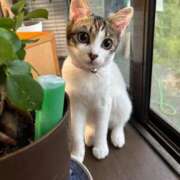 ヒメ日記 2025/09/25 08:03 投稿 わかな 沼津人妻花壇