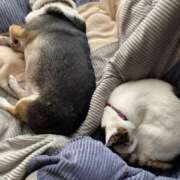 ヒメ日記 2025/11/05 07:16 投稿 わかな 沼津人妻花壇