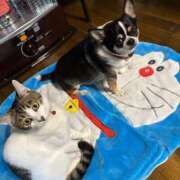 ヒメ日記 2025/11/28 07:26 投稿 わかな 沼津人妻花壇