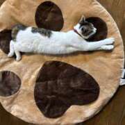 ヒメ日記 2025/11/30 07:38 投稿 わかな 沼津人妻花壇