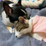 わかな がーんーばーれー！！！ 沼津人妻花壇