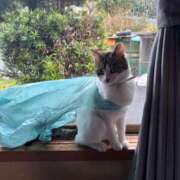 ヒメ日記 2026/03/12 09:28 投稿 わかな 沼津人妻花壇