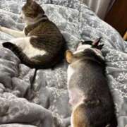 ヒメ日記 2026/03/28 12:29 投稿 わかな 沼津人妻花壇