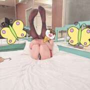 ヒメ日記 2025/07/11 08:02 投稿 七海（ななみ） 熟女の風俗最終章 名古屋店