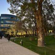 ヒメ日記 2025/04/27 01:13 投稿 あすか AFTER V（アフターファイブ）