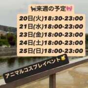 ヒメ日記 2025/05/18 23:15 投稿 あすか AFTER V（アフターファイブ）