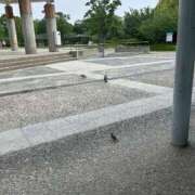 ヒメ日記 2025/05/21 17:49 投稿 あすか AFTER V（アフターファイブ）