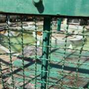 ヒメ日記 2025/09/15 23:01 投稿 あすか AFTER V（アフターファイブ）