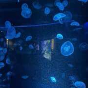 ヒメ日記 2025/10/11 23:01 投稿 あすか AFTER V（アフターファイブ）