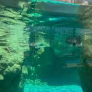 ヒメ日記 2025/10/19 23:01 投稿 あすか AFTER V（アフターファイブ）