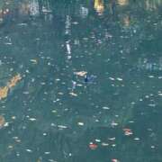 ヒメ日記 2025/11/26 23:02 投稿 あすか AFTER V（アフターファイブ）