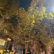 ヒメ日記 2025/11/27 23:01 投稿 あすか AFTER V（アフターファイブ）