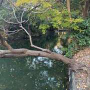 ヒメ日記 2025/12/02 23:01 投稿 あすか AFTER V（アフターファイブ）