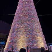 ヒメ日記 2026/01/14 23:01 投稿 あすか AFTER V（アフターファイブ）