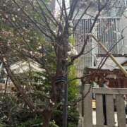 ヒメ日記 2026/03/01 23:01 投稿 あすか AFTER V（アフターファイブ）