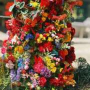 ヒメ日記 2025/03/27 13:26 投稿 成宮れい グランエステ東京 品川（シンデレラグループ）