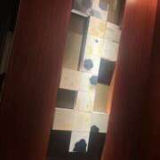 ヒメ日記 2025/03/29 07:02 投稿 成宮れい グランエステ東京 品川（シンデレラグループ）