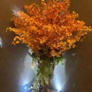 成宮れい 退勤? グランエステ東京 品川（シンデレラグループ）