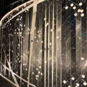 ヒメ日記 2026/02/21 03:02 投稿 成宮れい グランエステ東京 品川（シンデレラグループ）