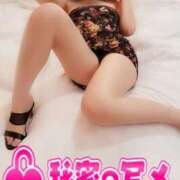 ヒメ日記 2025/07/12 04:57 投稿 はるか【痴女系ドМ】 仙台大人の秘密倶楽部