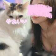 ヒメ日記 2025/02/21 02:00 投稿 なぎさ 甲府人妻城