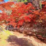 ヒメ日記 2025/12/09 00:02 投稿 なぎさ 甲府人妻城