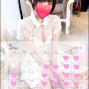 ヒメ日記 2025/05/02 06:01 投稿 なごみ ドンファン