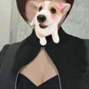 ヒメ日記 2025/05/18 06:00 投稿 なごみ ドンファン