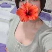 ヒメ日記 2025/06/08 06:00 投稿 なごみ ドンファン