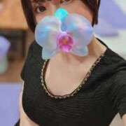 ヒメ日記 2025/06/25 06:25 投稿 なごみ ドンファン