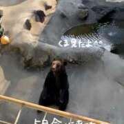 ヒメ日記 2025/04/17 06:32 投稿 せん 熟女の風俗最終章 相模原店