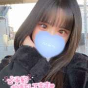 ヒメ日記 2025/02/15 14:00 投稿 かれん めちゃカワ女子 小田原早川店