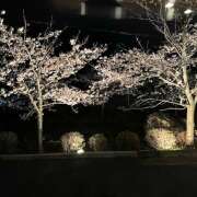 ヒメ日記 2025/04/05 19:52 投稿 えく(昭和50年生まれ) 熟年カップル名古屋～生電話からの営み～