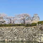 ヒメ日記 2025/04/25 18:20 投稿 えく(昭和50年生まれ) 熟年カップル名古屋～生電話からの営み～