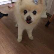 ヒメ日記 2025/05/23 11:10 投稿 えく(昭和50年生まれ) 熟年カップル名古屋～生電話からの営み～