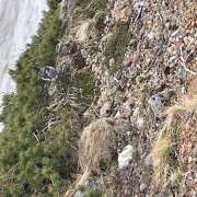 ヒメ日記 2025/06/02 21:51 投稿 えく(昭和50年生まれ) 熟年カップル名古屋～生電話からの営み～