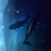 ヒメ日記 2025/06/25 21:21 投稿 えく(昭和50年生まれ) 熟年カップル名古屋～生電話からの営み～